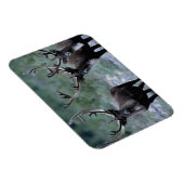 Elk Herd | Mt. Baring, Washington Magneet (Rechterzijde)