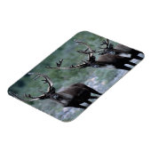 Elk Herd | Mt. Baring, Washington Magneet (Linkerzijde)