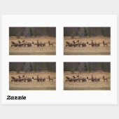 Elk Herd Rectangle Sticker (Vel)