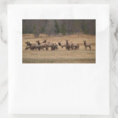 Elk Herd Rectangle Sticker (Tas)
