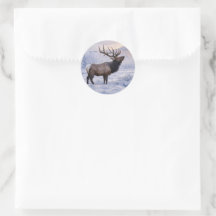 Elk in de Sneeuw Mooie Yule Kerstmis
