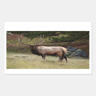 Elk in de Wild Sticker