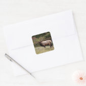 Elk in de Wild Vierkante Sticker (Envelop)