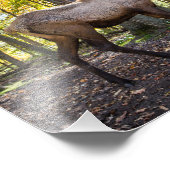 Elk in Herfst Foto Afdruk (Hoek)