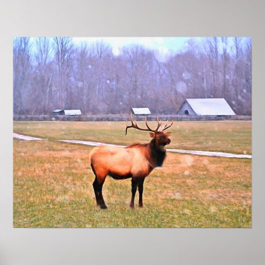 Elk in het Poster van de Grote Smoky (Voorkant)