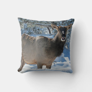 Elk in het Sierkussen van de sneeuw