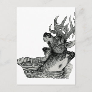 ELK IN HOT TUB BRIEFKAART