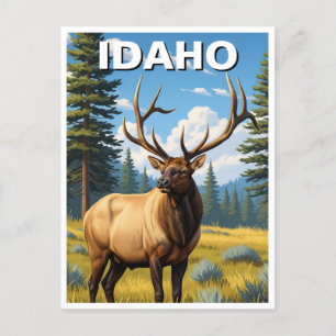 Elk in Idaho Briefkaart