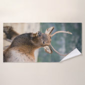 ELK IN ROCKY MOUNTAIN NATIONAL PARK - ELK HERDS GR (Serviette de bain)
