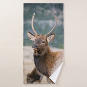 ELK IN ROCKY MOUNTAIN NATIONAL PARK - ELK HERDS GR BADHANDDOEK