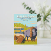 Elk Island National Park Canada Bison  Briefkaart (Staand voorkant)