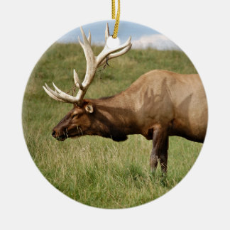 Elk Keramisch Ornament