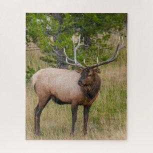 Elk Lake Village Yellowstone National Park Wyoming Legpuzzel