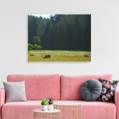 Elk Meadow in Redwood National Park Canvas Afdruk (Insitu (Woonkamer))