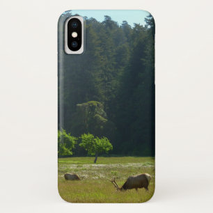 Elk Meadow in Redwood National Park iPhone X Hoesje
