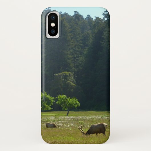 Elk Meadow in Redwood National Park Case-Mate iPhone Case (Achterkant)