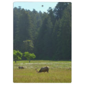 Elk Meadow in Redwood National Park Klembord (Achterkant)
