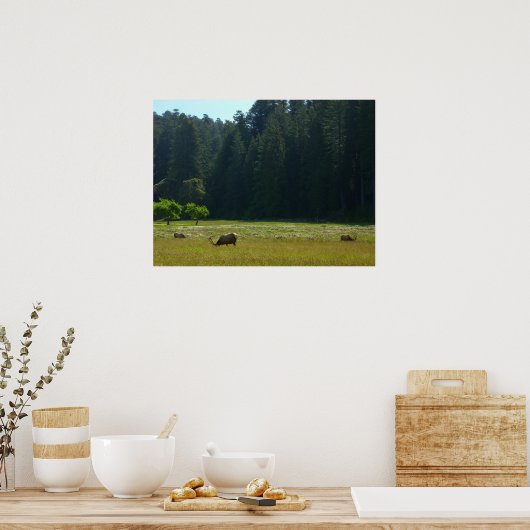 Elk Meadow in Redwood National Park Poster (Keuken)