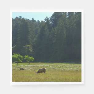 Elk Meadow in Redwood National Park Servet