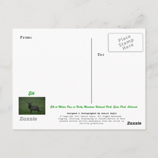 Elk, Milner Pass Briefkaart (Achterkant)