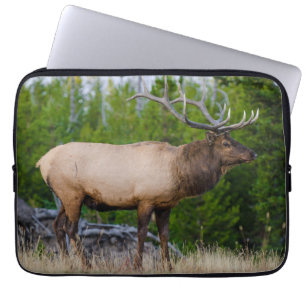 Elk Nationaal park Yellowstone Wyoming Laptop Sleeve