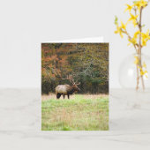 Elk Notecard Kaart (Gele Bloem)