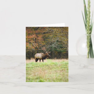 Elk Notecard Kaart