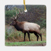 Elk Ornament (Voorkant)