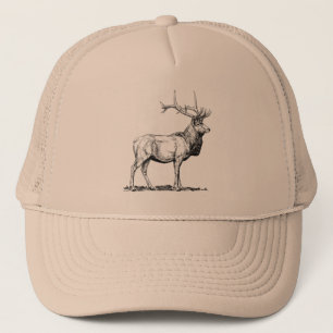 Elk Pet