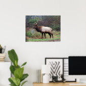 Elk Poster (Thuiskantoor)