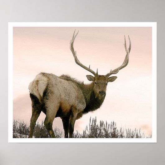 Elk Poster (Voorkant)