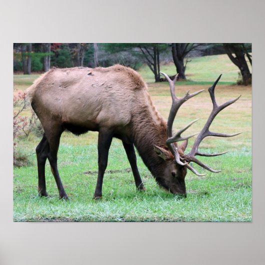 Elk Poster (Voorkant)
