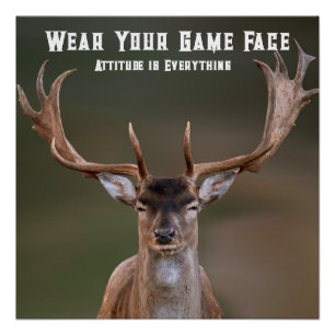 Elk Poster Perfect Poster