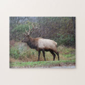 Elk Puzzle Legpuzzel (Horizontaal)