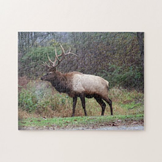 Elk Puzzle Legpuzzel (Horizontaal)