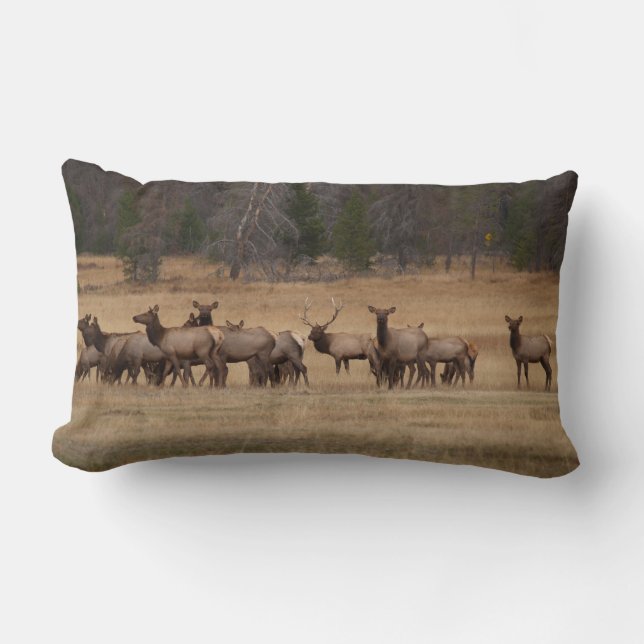 Elk réversible sur un Coussin (Recto)