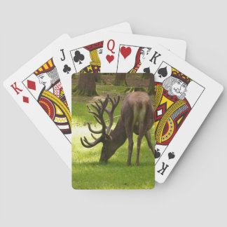 elk rijwieltje voor zoogdieren pokerkaarten