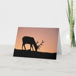 Elk Rocky Mountains National Park, Colorado Kaart