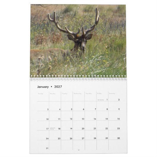 Elk rooster 2013 kalender (Jan 2027)