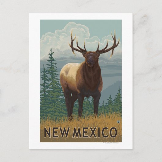 Elk SceneNew Mexico Briefkaart (Voorkant)