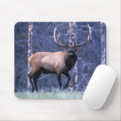 Elk Scream Muismat (Met muis)