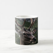 ELK STACK DEER KOFFIEMOK (Center)