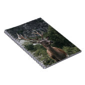 ELK STACK DEER NOTITIEBOEK (Rechterzijde)