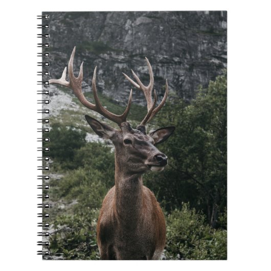 ELK STACK DEER NOTITIEBOEK (Voorkant)