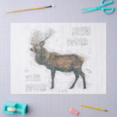 Elk Stag Drawing Tissuepapier (Craft)