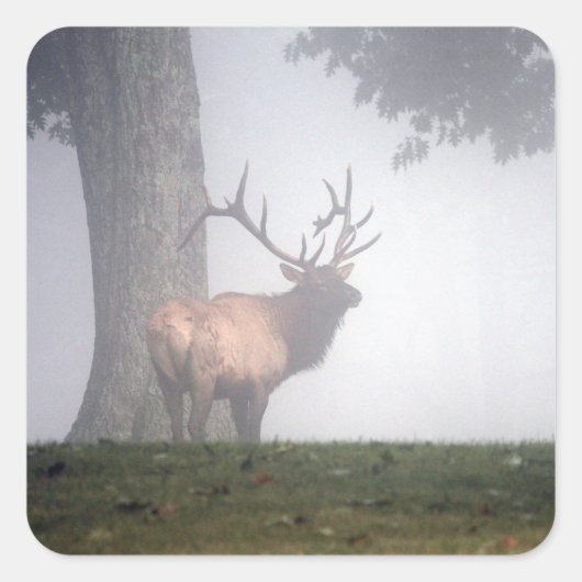 Elk Stickers (Voorkant)