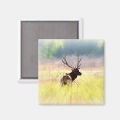 Elk "terugkijkend" magneet (Voorkant / Achterkant)