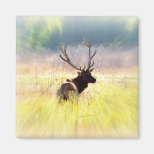 Elk "terugkijkend" magneet