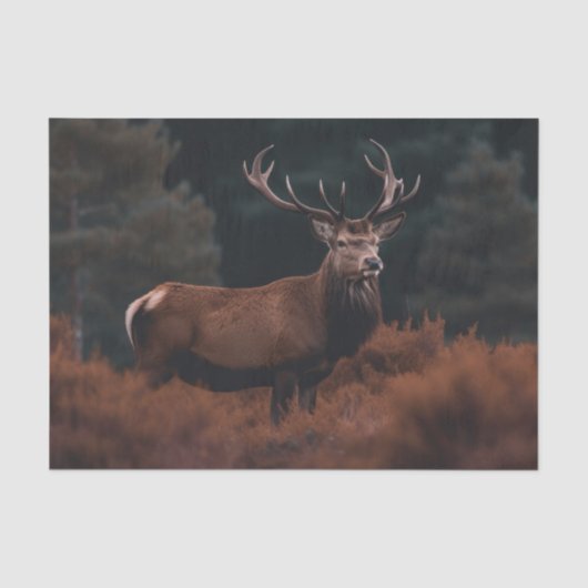 Elk-tissuepapier Tissuepapier (Voorkant)