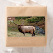 Elk verzendlabel (Insitu)